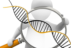 呼伦贝尔DNA鉴定中心哪里做，呼伦贝尔DNA亲子鉴定多少钱